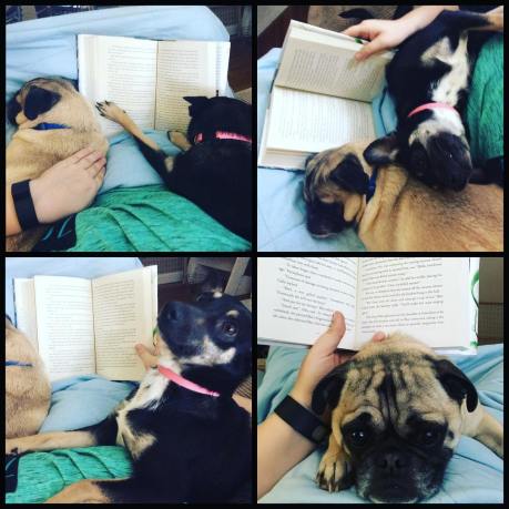 11782519_10209353598982980_9206700020433067924_o