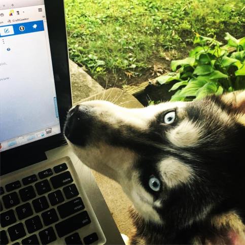 13730943_10210286882114475_5576854684802377651_o